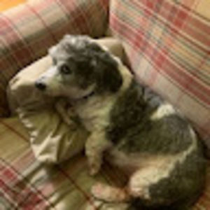 Meet your Posher, Kenneth